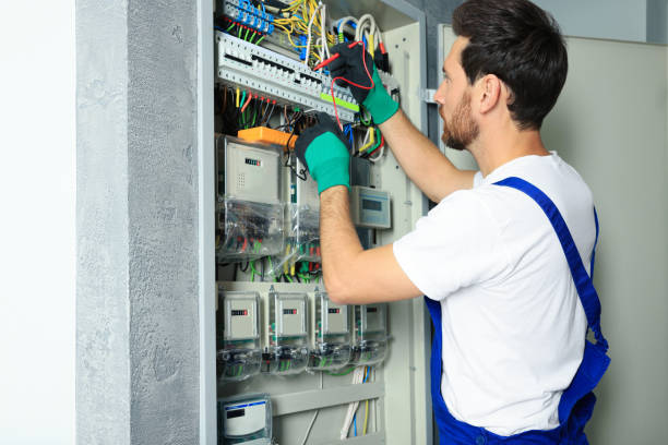 Best Electric Panel Repair  in Terryville, NY